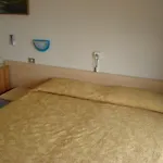 B&B Solana 놀리