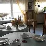 Solana 놀리